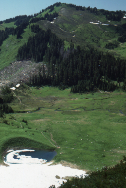 The Cheam Peak Bowl Trail, July 1989