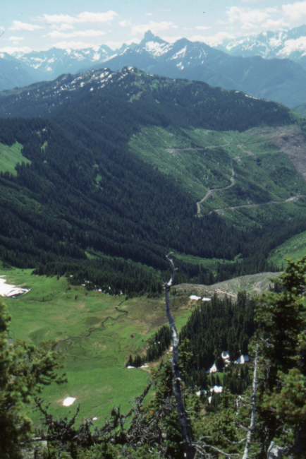 Looking down the Chipmunk Valley from the Ridge Trail, July 1989