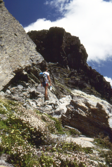 Cheam Peak from the Ridge Trail, July 1989