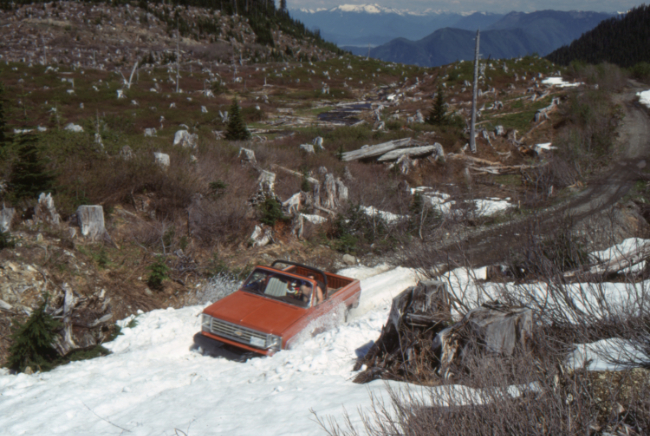 My buddy Joe Ackerman trying to break trail on the Cheam Peak Road, June 1989.