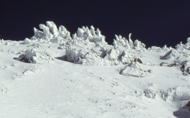 On the Cheam Peak Trail, October 1989