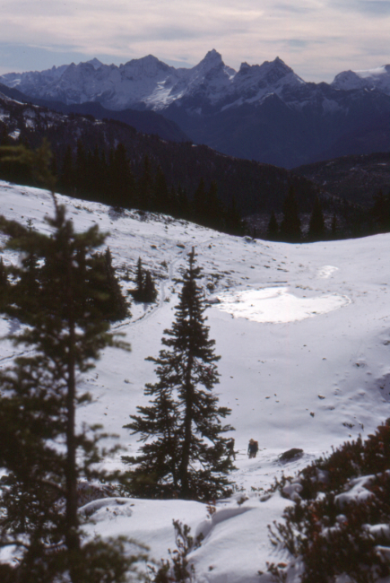 On the Cheam Peak Trail, October 1989