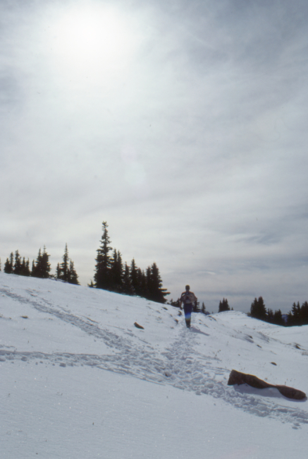 On the Cheam Peak Trail, October 1989