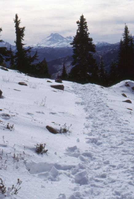 Looking south to Mount Baker, from the Cheam Peak Trail, October 1989