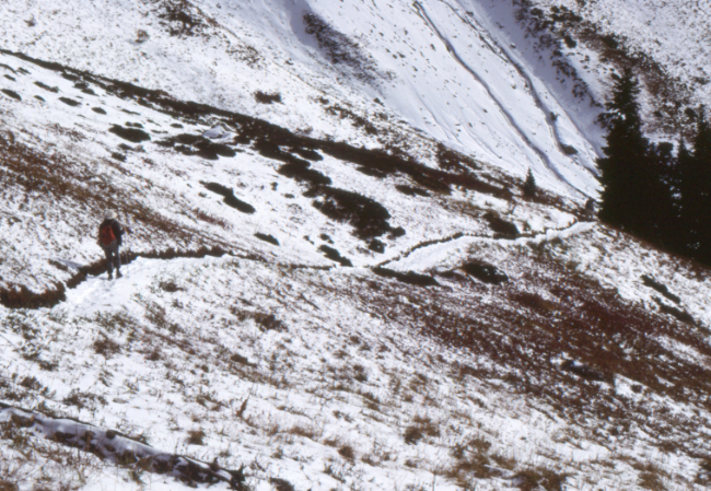 On the Cheam Peak Trail, October 1989