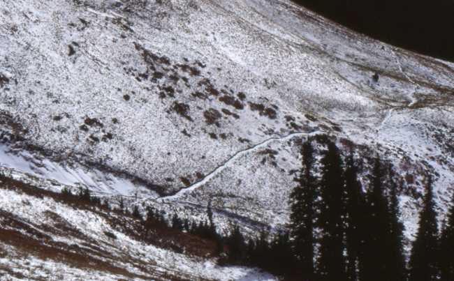 On the Cheam Peak Trail, October 1989