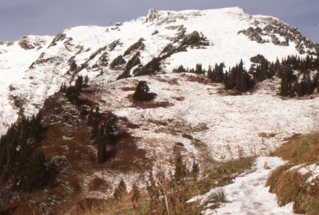 Cheam Peak from the Cheam Peak Trail, October 1989.