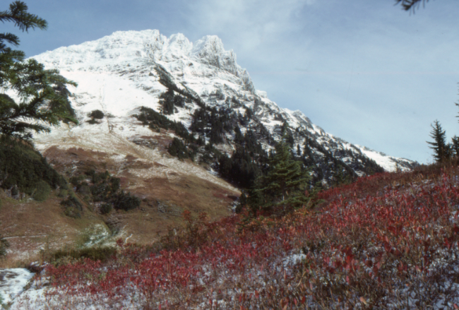Lady Peak from the Cheam Peak Trail, October 1989