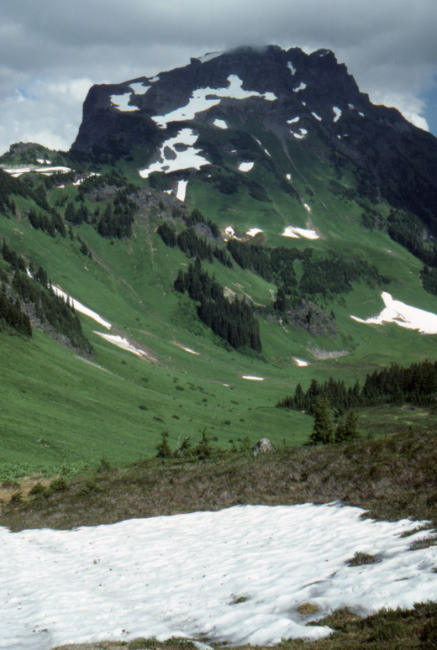 Lady Peak, from the ridge on the Cheam Peak Trail, July 1989