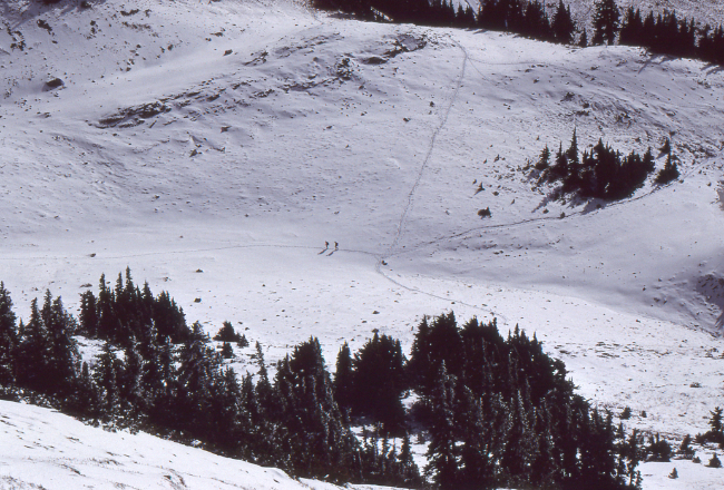 On the Cheam Peak Trail, October 1989