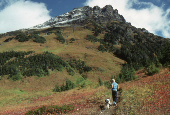 My son and our puppy Daisy on the Cheam Peak Trail, October 1989