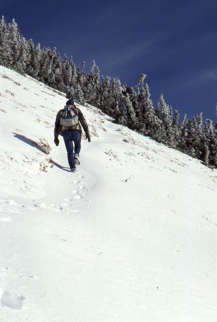 Murray Lundberg on the Cheam Peak Trail - near Chilliwack, BC, October 1989.