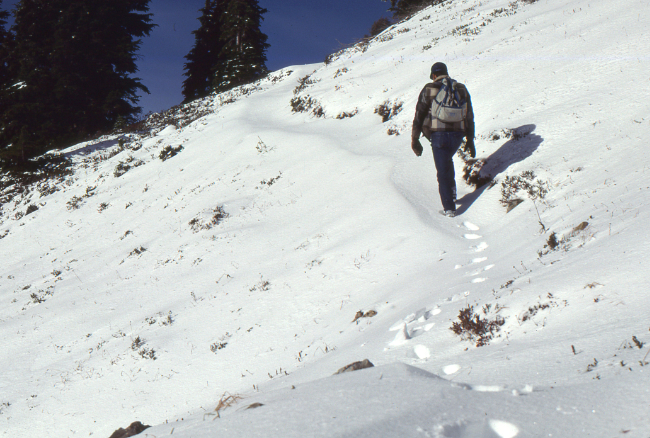 Murray Lundberg on the Cheam Peak Trail - near Chilliwack, BC, October 1989.