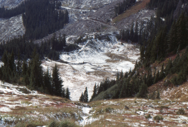 On the Cheam Peak Trail, October 1989
