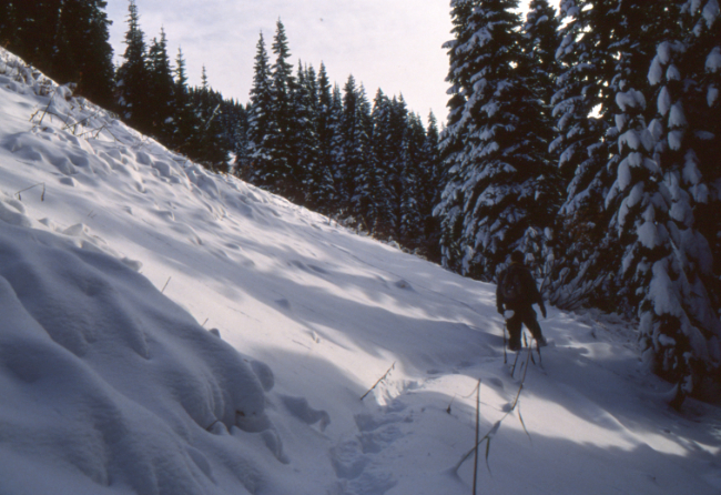 Murray Lundberg on the Liumchen Lake Trail near Chilliwack, BC.