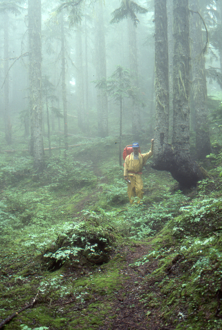Murray Lundberg in the clouds on Mount Ford - near Chilliwack, BC.
