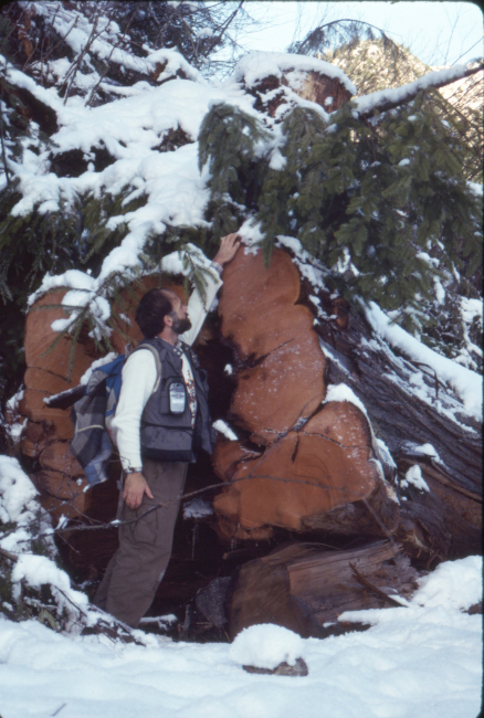 Murray Lundberg in a logging clearcut in the Paleface Valley - near Chilliwack, BC.