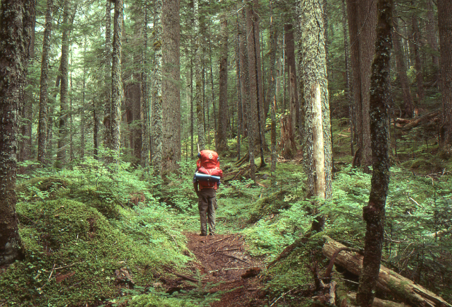 Murray Lundberg on the Pierce Lake Trail - near Chilliwack, BC.