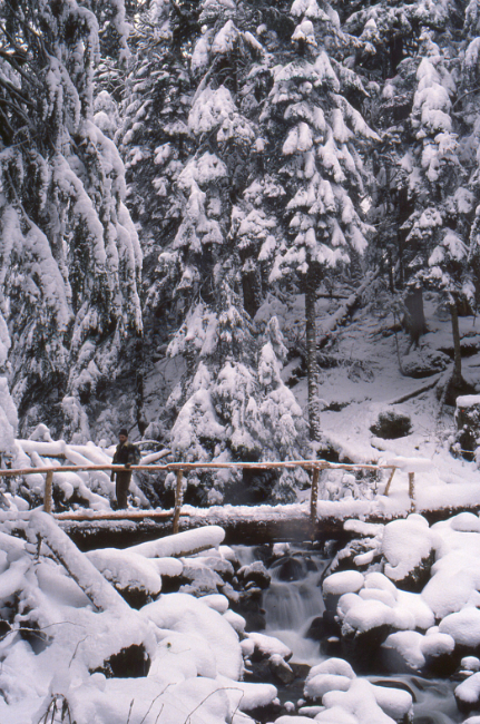 Murray Lundberg on the Radium Lake Trail - near Chilliwack, BC.