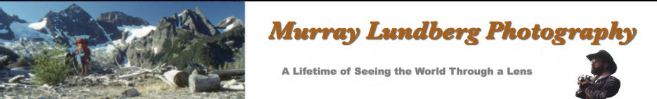 Murray Lundberg Photography - Chilliwack, BC